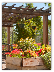 Garden-Show