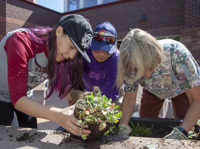 FRCC Students, Retirees Unite to Create Bird-Friendly Garden