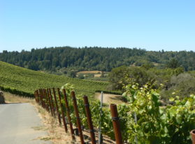 West Sonoma Coast