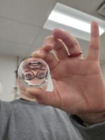 Hannah peering through an optics lens, which makes her face appear upside down